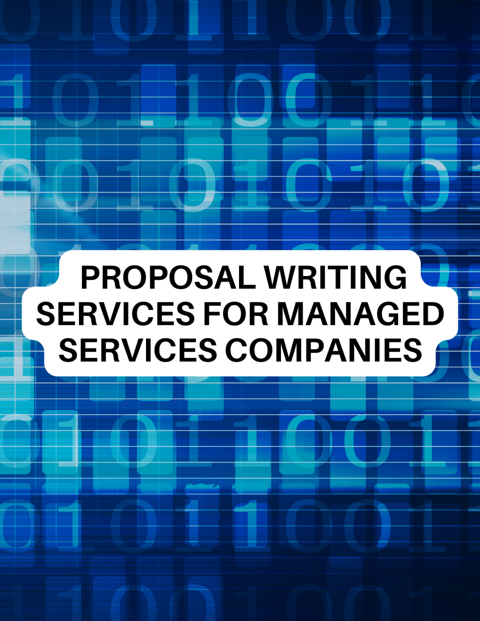 Government Contract Success: Proposal Writing Services for Managed Services Companies"